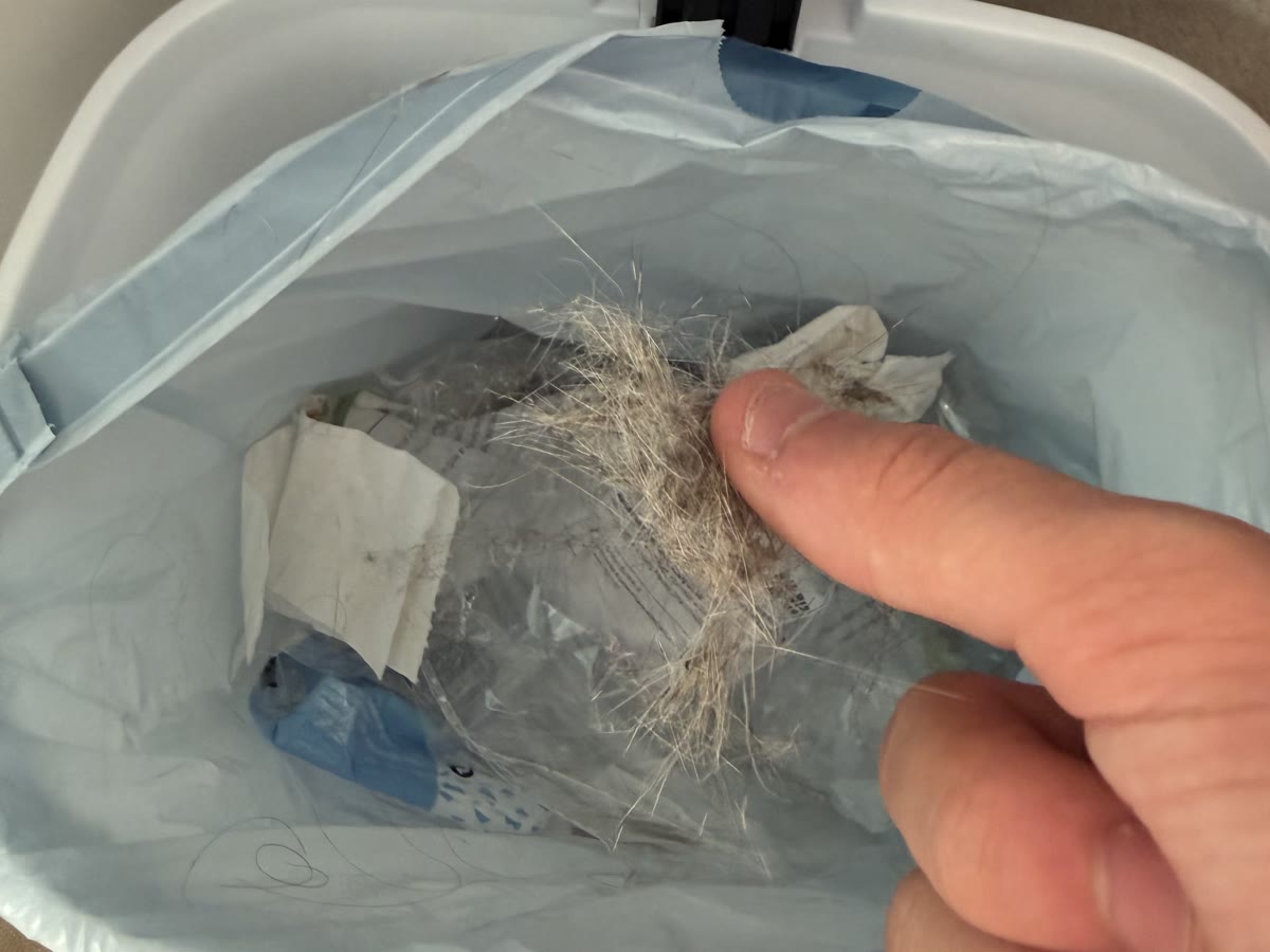Tirando el pelo a la basura